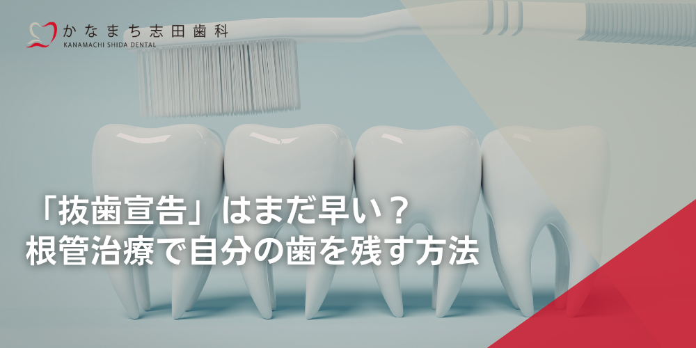 「抜歯宣告」はまだ早い?根管治療で自分の歯を残す方法